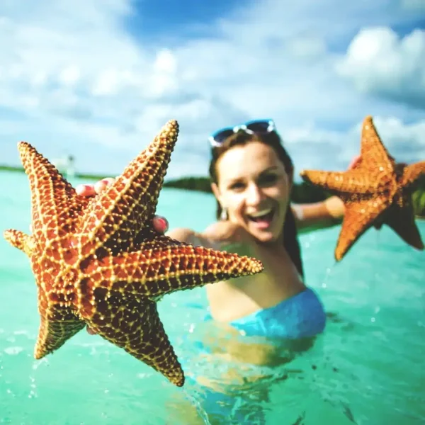 Best Airport Transfers in Punta Cana | Montilla Travel 2025